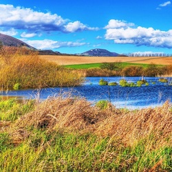 Пазл: Летний ветерок