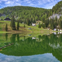 Пазл: Жизнь в глуши