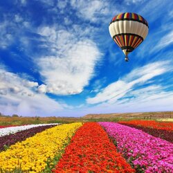 Пазл: На большом воздушном шаре