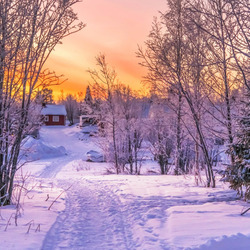 Пазл: Закат зимой