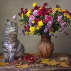 Пазл: Ах, какая красота!