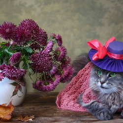 Пазл: Мадам Брошкина