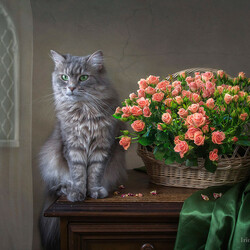 Пазл: Масяня и розы