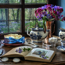 Пазл: Прощание с пролесками