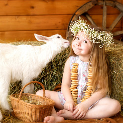 Пазл: В окружении друзей