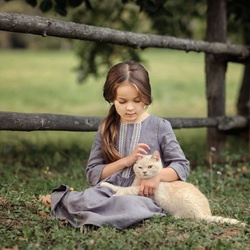 Пазл: Рыжий мурлыка