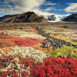Пазл: Творения природы