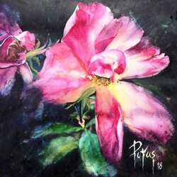 Пазл: Красный цветок