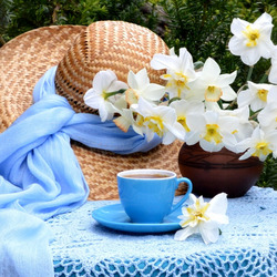 Пазл: Забытая шляпа