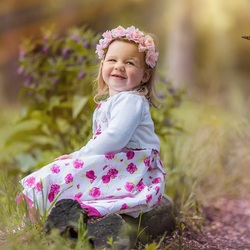 Пазл: Настроение бабочка