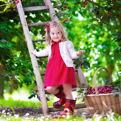 Пазл: Сбор вишни