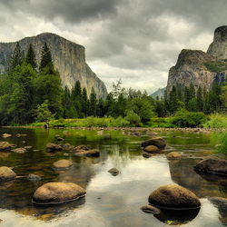 Пазл: дикая природа