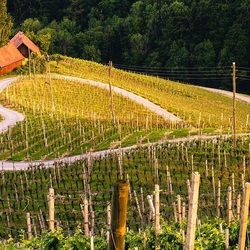 Пазл: Дорога сердечком