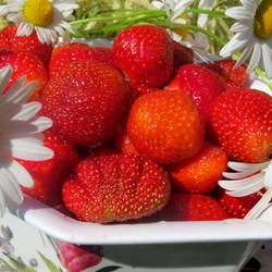 Пазл: Дачный десерт 