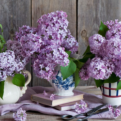 Пазл: Сирень и книги