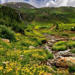 Пазл: Речка в горах