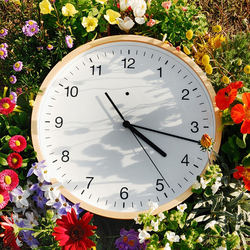 Пазл: Летнее время