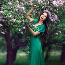 Пазл: В цветущем саду