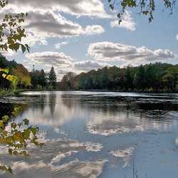 Пазл: Речка