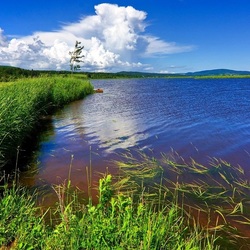 Пазл: Летний бриз