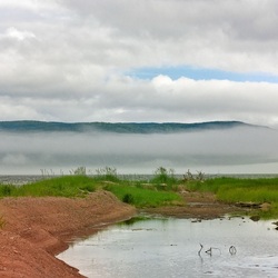 Пазл: Туман над рекой