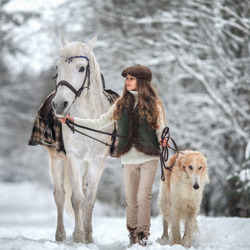 Пазл: Девочка с лошадью и собакой
