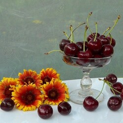 Пазл: Из сада