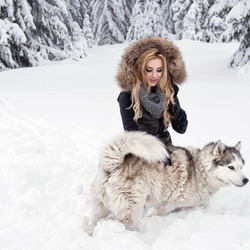 Пазл: Снежная прогулка