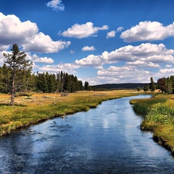Пазл: Речка в междулесье