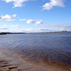 Пазл: Берег реки