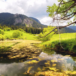 Пазл: Горный пейзаж