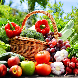 Пазл: Урожай с огорода