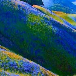 Пазл: Сиреневые горы