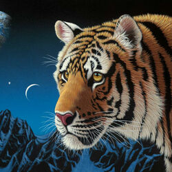 Пазл: Тигр ночью