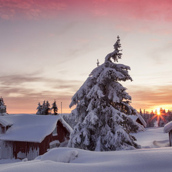 Пазл: Зимнее утро