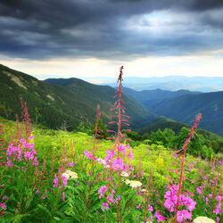 Пазл: Горный пейзаж