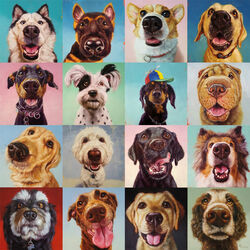 Пазл: Следуй за своим носом