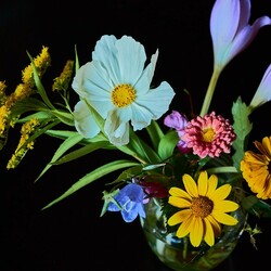 Пазл: Полевые цветы