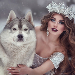 Пазл: Принцесса и волк
