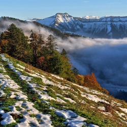 Пазл: Весна в горах