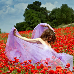 Пазл:  В маковых полях