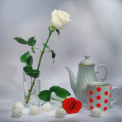 Пазл: Белое и красное