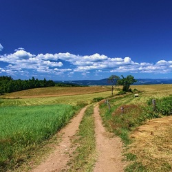 Пазл: Деревенский пейзаж