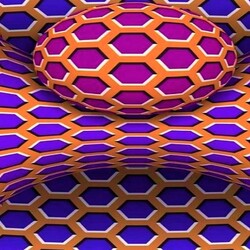 Пазл: Оптическая иллюзия