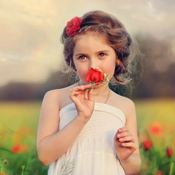 Пазл: Полевой цветочек