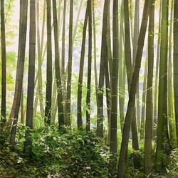 Пазл: Бамбуковый лес