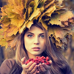 Пазл: Гроздья рябины