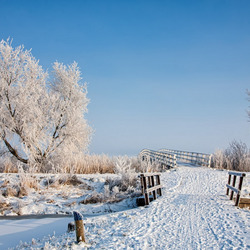 Пазл: Мост зимой