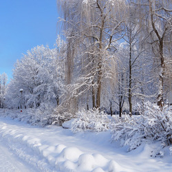 Пазл: Зимний день