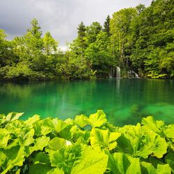 Пазл: Плитвицкие озера